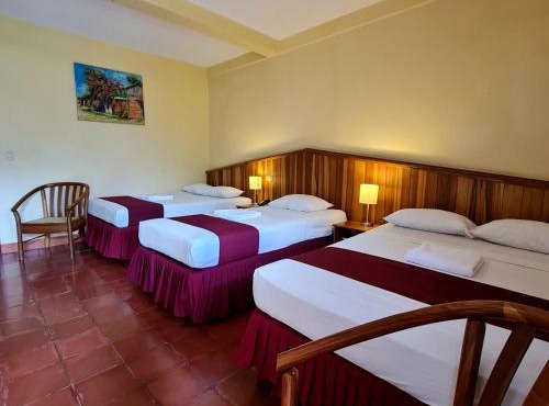 Hotel Austria in León